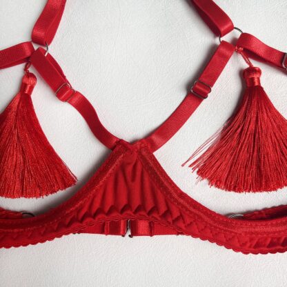 Tassel Open Bra Set - Image 4